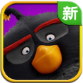 复仇鸟联盟