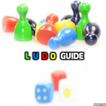 Ludo Guide