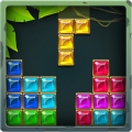 Puzzle Block Jewel