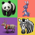 G4KidApps