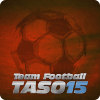 Team Football 15
