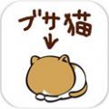 忙碌猫咪店