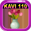 Kavi Escape Game 110