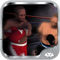 Boxing Knockout