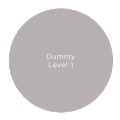 Dummy_level_1
