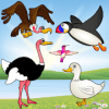 小鸟游戏的孩子游戏为幼儿的鸟类物种