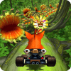 Adventure Bandicoot Jungle Kart