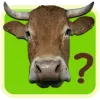 Mal mısın ?