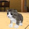 猫咪小猫模拟工艺 Kitten Cat Simulator