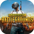 PlayerunknownsBattlegrounds
