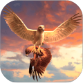 Clan of Eagle