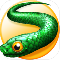 Slither Snakes io