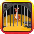 Possum Escape