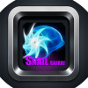 Snail Safari