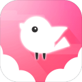 Light Bird