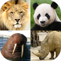 动物小测验 - 了解动物园里的所有哺乳动物！