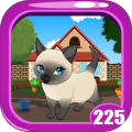 Tonkinese Cat Rescue Game Kavi - 225