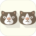 Animal Twins