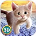 家猫3D