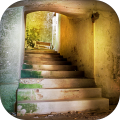 Can You Escape Ruined Castle