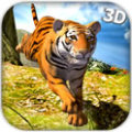 野生虎的冒险3D