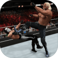 Top WWE 2k Tips