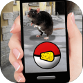 Mouse GO