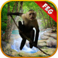 Escape Game Forest Survival