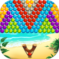 Bubble Beach Bird Rescue