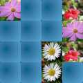 MemGame 04 - Flowers