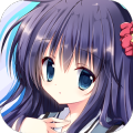 NOeSIS 歌う影の戯曲