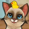 狂猫咪