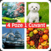 Cuvinte:4 Poze 1 Cuvânt