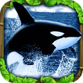 虎鲸模拟（免费版）