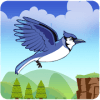 Bird World Kingdom