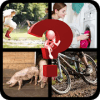 4 Pics 1 Word - Challenge