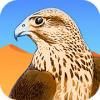 Royal Falcon الصقر الملكي
‎