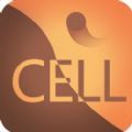 Super cell