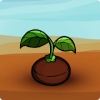 Seeds Travel