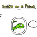 飞机上的蛇