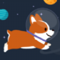 太空旅行的小狗