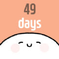 我和细胞的49天生活