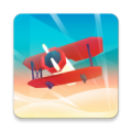 空中滑翔SkySurfing