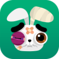 逃离马戏团Bunnymare