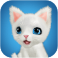 AR猫咪AR cat