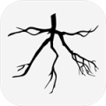木branch