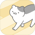 猫咪很可爱