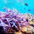 我们热爱的海洋
