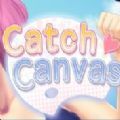 Catch Canvas