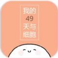 我与细胞的49天